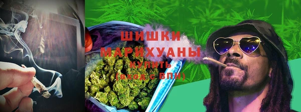 молекула духа Балахна